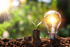 Ahorro de Dinero y Sostenibilidad: Los Beneficios de la Energía Solar Renovable.